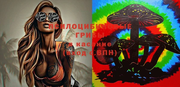 мет Аркадак