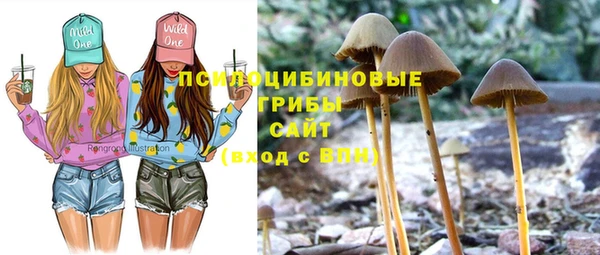 спиды Армянск