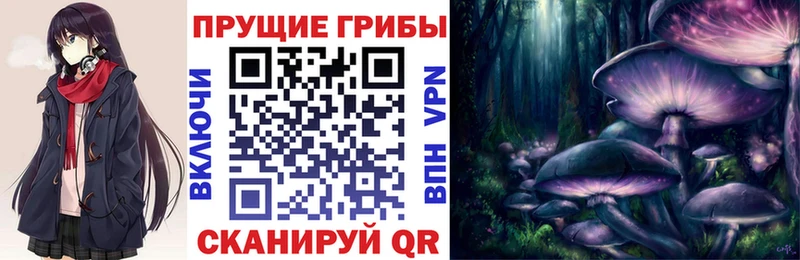 что такое   Тында  MEGA маркетплейс  Псилоцибиновые грибы MAGIC MUSHROOMS 